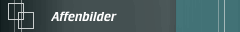 Affenbilder